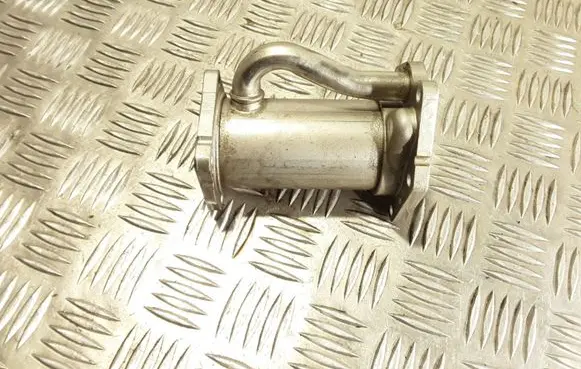 Renault Kangoo II EGR valve cooler 8200729079 300509