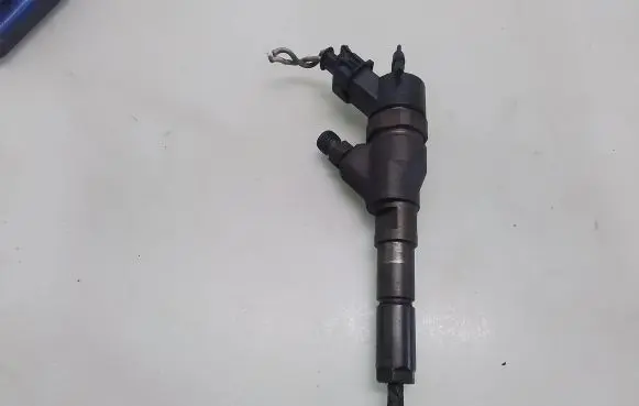 Peugeot 206 Fuel injector 0445110008
