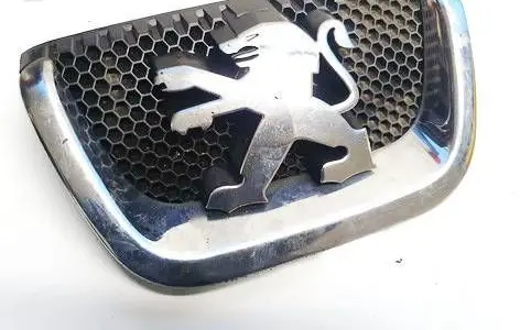 Peugeot 407 Front grill 9648195677 1858140030