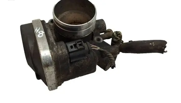 Volkswagen Golf V Throttle valve 06A133062AT