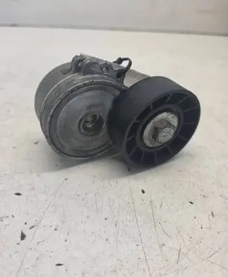 Ford Focus C-MAX Generator/alternator belt tensioner APV1114