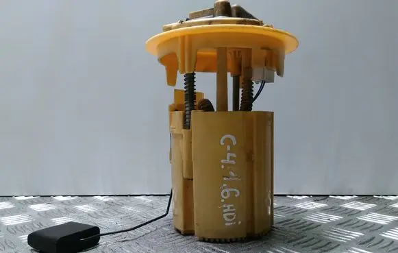 Citroen C4 Grand Picasso In-tank fuel pump 9684995280