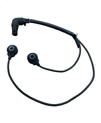 BMW X5 E53 Detonation knock sensor 1709317 0261231136