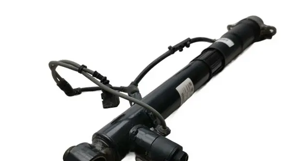 Cupra Formentor Rear shock absorber/damper 5WA513045AB