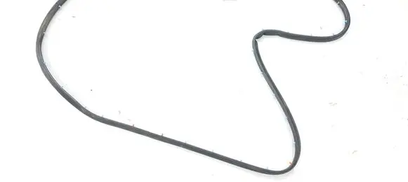 Ford Fusion II Rubber seal rear door 010440304