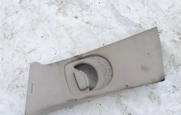 Renault Laguna III Other interior part