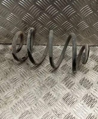 Rear coil spring