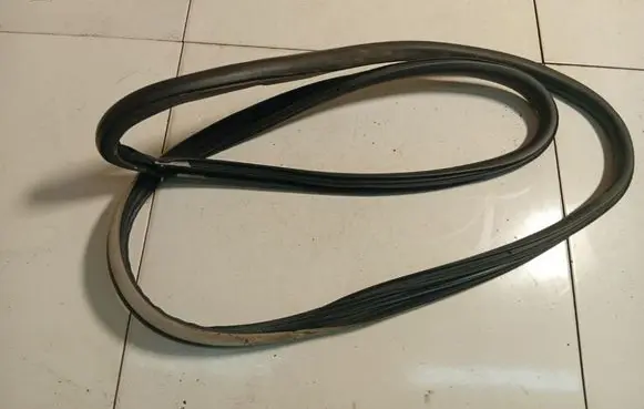 Renault Laguna III Rubber seal rear door