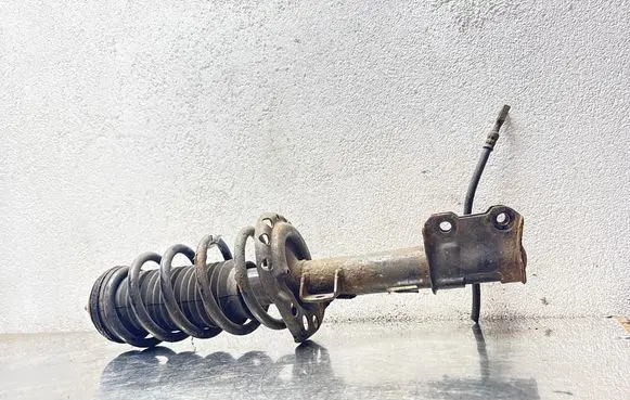 Opel Meriva B Front shock absorber with coil spring 22245142