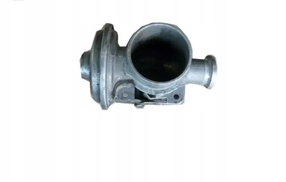 BMW 3 E46 EGR valve