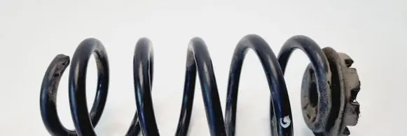 Renault Zoe Rear coil spring