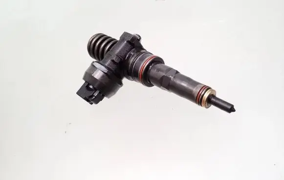 Seat Alhambra (Mk1) Fuel injector 038130073AK 0414720038