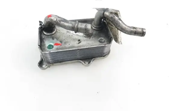Mercedes-Benz CL C215 Engine oil radiator 