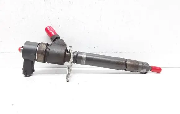 Volvo V70 Fuel injector 0445110298 30777526