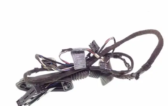 BMW X1 E84 Rear door wiring loom 919140704