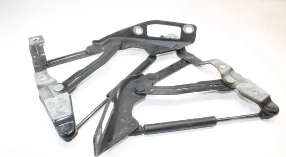 Audi TT Mk1 Engine bonnet/hood hinges 8N0823301
