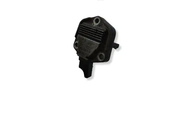 Volkswagen Golf IV Oil level sensor 6PR00807907
