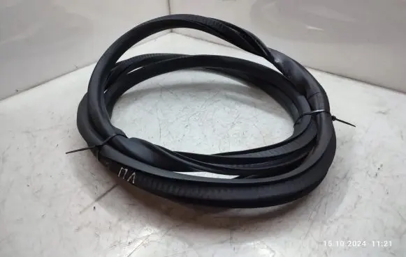Opel Insignia A Front door rubber seal