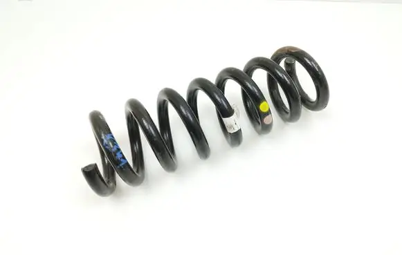 Rear coil spring