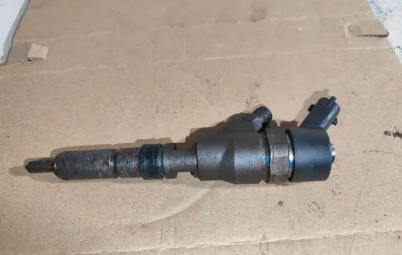 Citroen Xsara Picasso Fuel injector 9641742880 0445110076