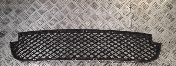 Front bumper lower grill