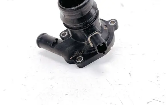 Thermostat/thermostat housing