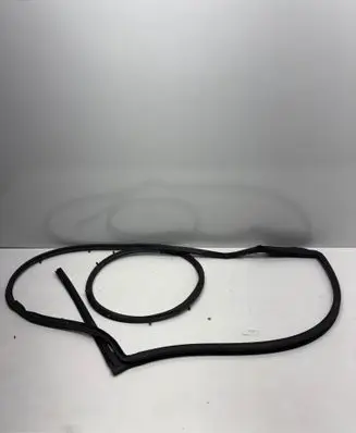 Dodge Challenger Front door rubber seal 68067556 43791A