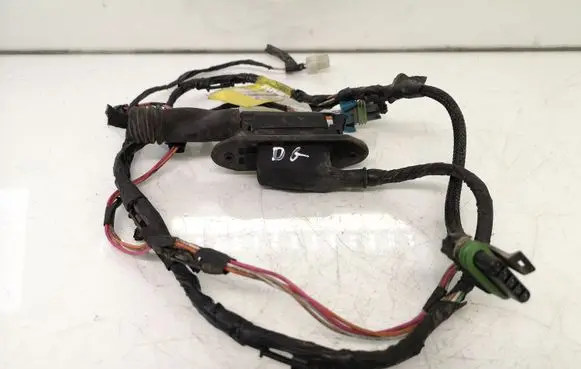Rear door wiring loom