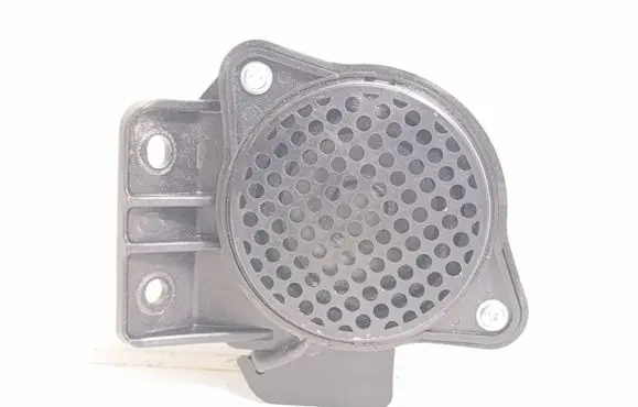 Alarm system siren