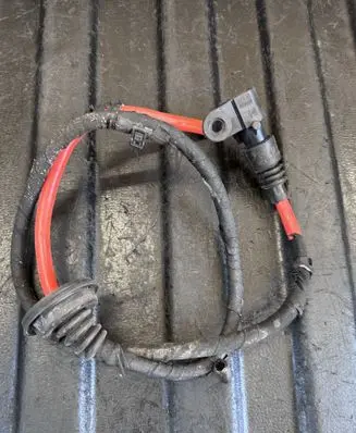 Other wiring loom