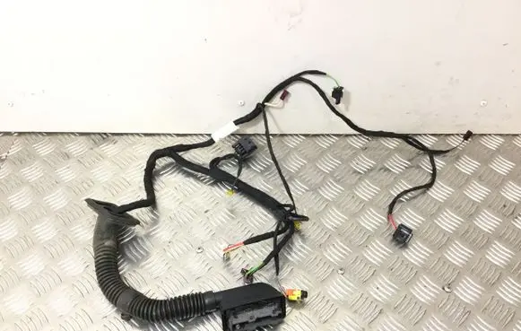Mercedes-Benz S C217 Front door wiring loom A2175405401
