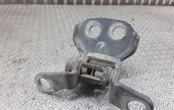 Ford Fusion Rear door lower hinge
