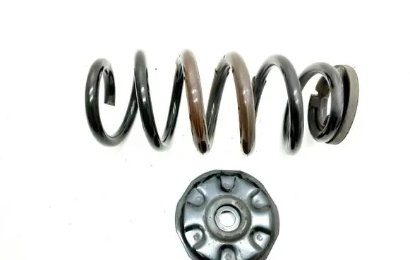 Toyota RAV 4 (XA40) Rear coil spring