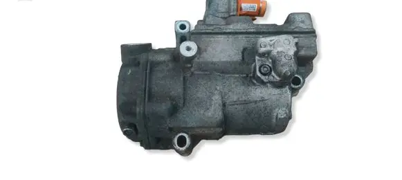 Nissan Leaf I (ZE0) Air conditioning (A/C) compressor (pump) 0422000683
