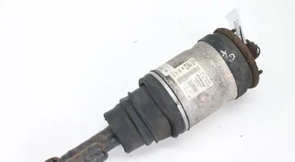 Land Rover Range Rover Sport L320 Rear shock absorber/damper 22260147