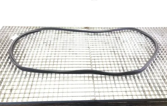 Citroen C4 III e-C4 Rubber seal front door (on door) 