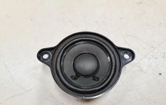 Panel speaker