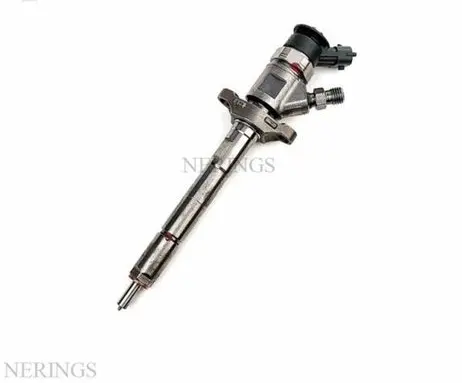 Citroen C3 Picasso Fuel injector 0445110311 0986435146