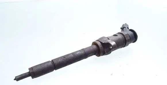 Peugeot Partner Fuel injector 0445110297 620026