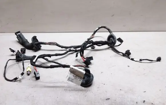 Audi A7 S7 4G Front door wiring loom 4G8971029CG