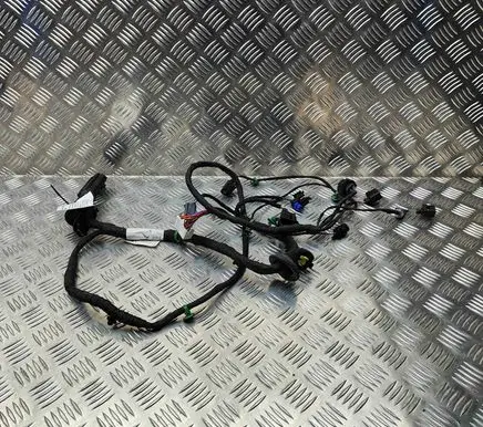 Porsche Panamera (971) Front door wiring loom 971971035 971971122
