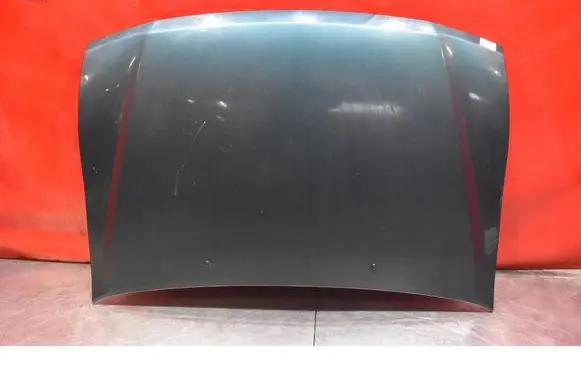 Engine bonnet/hood