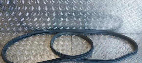 Ford Grand C-MAX Rear door rubber seal (on body) 