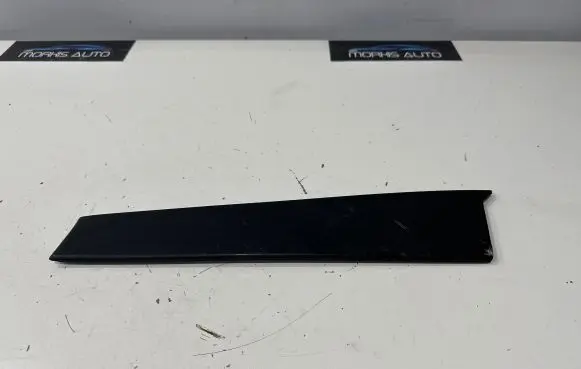 Rear door trim (molding)