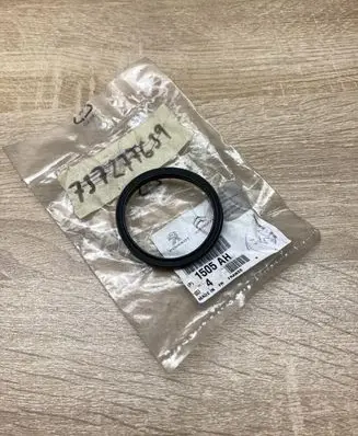 Citroen DS3 Fuel filter 1505AH