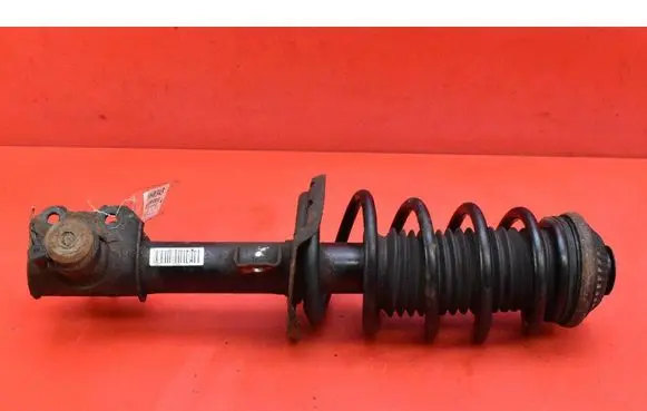 Opel Astra H Front shock absorber/damper 13182348