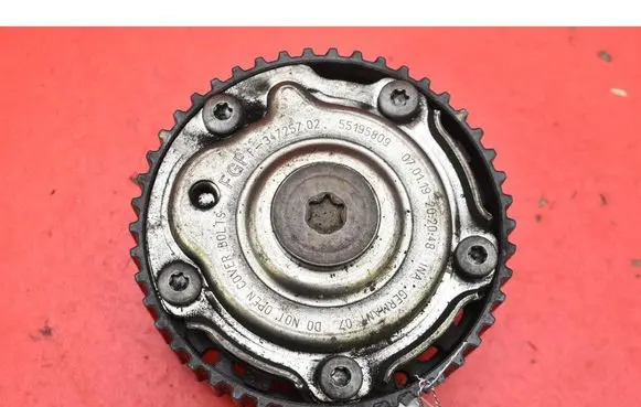 Fiat Punto (199) Crankshaft pulley 55195809