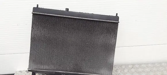 Nissan Juke I F15 Coolant radiator 21410ba60a