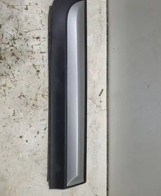 Rear door trim (molding)