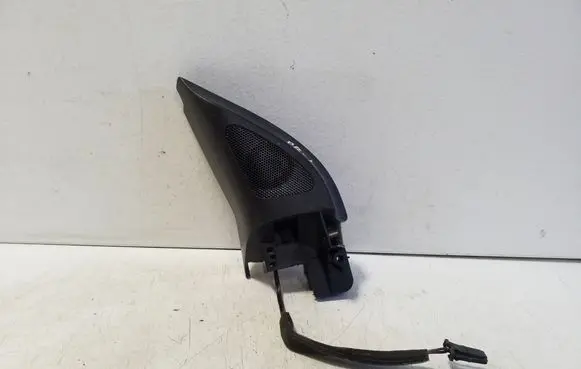 Front door high frequency speaker